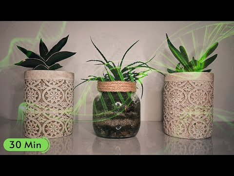 30 Minute Therapy Music for Plants and Humans; DNA Repair, Healing, and Growing