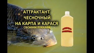 Как самому приготовить аттрактанты и феромоны для рыбалки