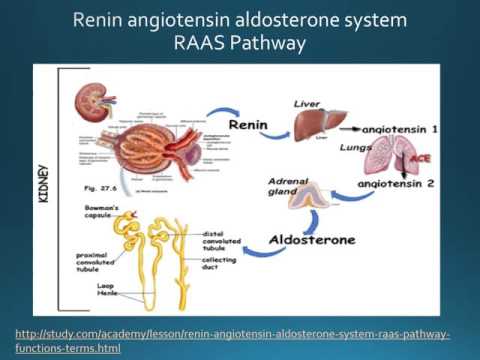 Coulée pour les patients hypertendus 140 la pression artérielle 60 causes