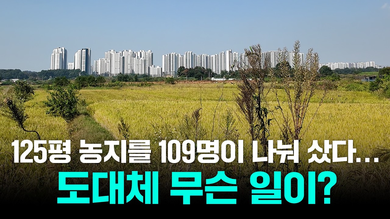  농사짓겠다며 109명이 산 125평 농지, 직접 가봤습니다