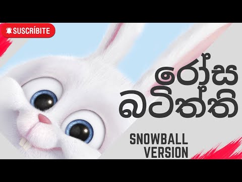 Rosa Batiththi ( himabole version ) | snowball sinhala song.