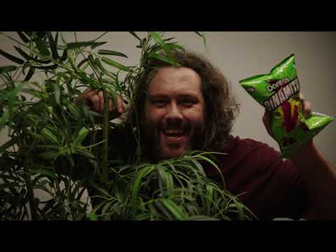 Open video