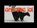 Skunk