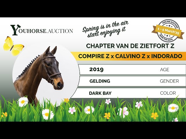 Chapter van de Zietfort Z