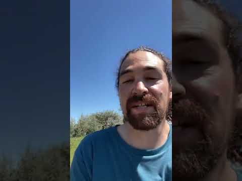 Fishing / Cooking On A Rocket Stove ??