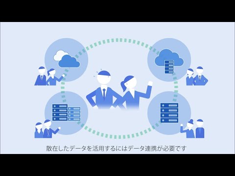 Video Image