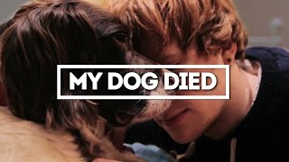 My Dog Died.