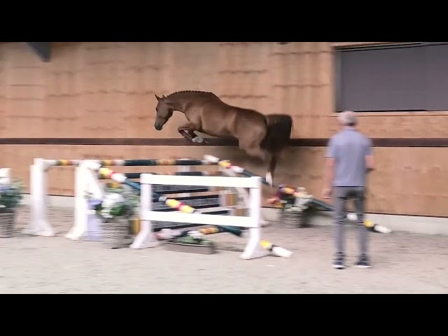 Jumping