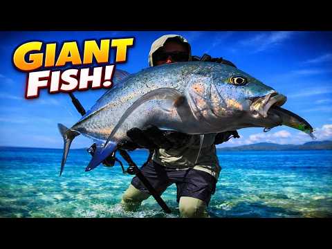 GIANT Fish Caught in the Ocean! | Deep Sea Fishing Adventure 🎣🌊