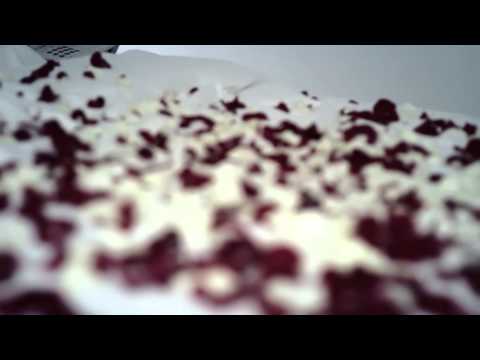 Big Sha , Consa , Ben G & Daniela Kostadinova - Цветя