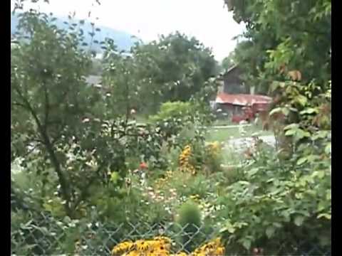 Rajd Rzeszowski _09 SUBARU IMPREZA WRX STI STR09