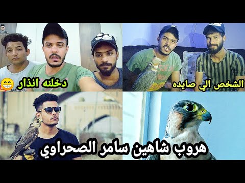 الصقر مالتي شرد مني وضاع شوفو البحث عنه وشلون تم صيده من جديد