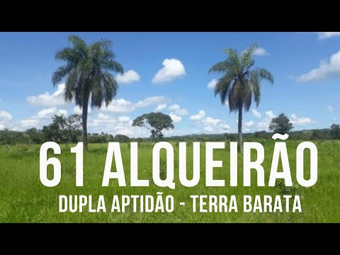 DE 120 POR R$ 100 MIL ALQ. - 18 ALQ. PLANIN - 02 CACHOEIRAS - FAZENDA À VENDA EM GOIÁS  #goias