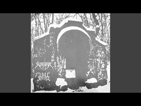 The Haunted (feat. Ulu Lungga)