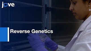 Reverse Genetics Method to recover Rotavirus expressing proteins | Pro