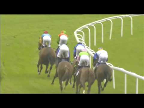 82  Gerling Preis   Gruppe 2   2017