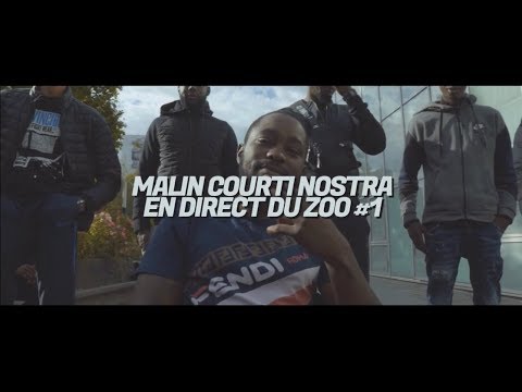 Malin Courti Nostra - En direct du zoo #1