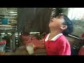 DRINKING COCONUT WINE