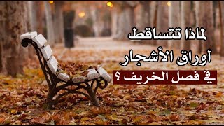 لماذا تتساقط أوراق الأشجار في فصل الخريف ؟ لماذا تتساقط أوراق الأشجار في فصل الخريف ؟