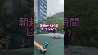 スタートアップ週間/子育て黄金期 #キッズコーチング #子育て世代 #コーチング #育児 #コーチンング #マインドセット #子育てに関して
