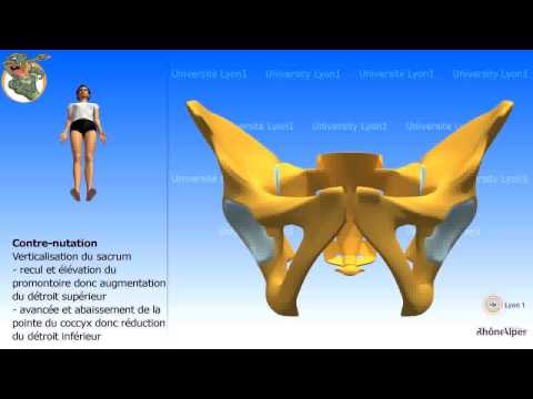 Gonfiore al ginocchio guarisce rimedi popolari Una serie di esercizi con osteoartrosi del ginocchio immagini