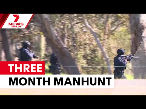 Expert predicts three-month manhunt for Desi Freeman | 7NEWS