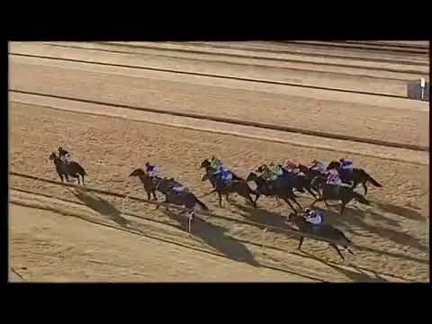 2020.06.27 Camellia Stakes (RSA) - Golden Belle