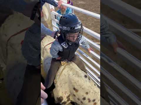 Rodeo time! Second ride for this cowboy! He’s learning the way. #rodeo #bullriders #cowboy#ride