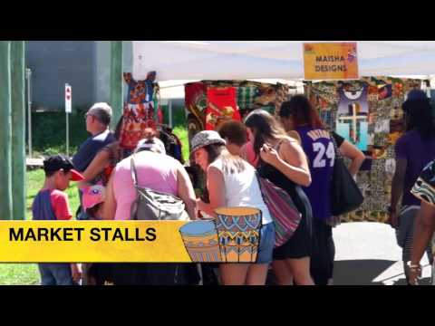 Afro Latino Festival Highlights