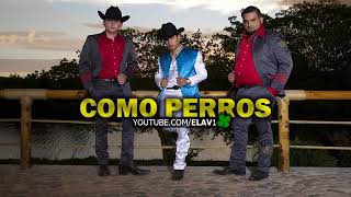 Cómo Perros Ariel Camacho Y Los Plebes Del Rancho