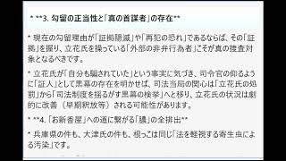 もし法的実務を操る「黒幕」が、立花氏を暴走させるための情報提供や法的スキームの構築に関与していた場合、それが立花氏の刑事責任（違法性の錯誤や責任能力の評価）にどのような劇的変化をもたらすか解き明かせ。