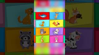 animal song