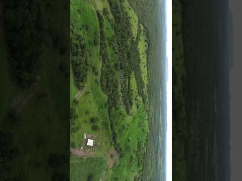 Fazenda à Venda em Taguatinga-TO | 250 ha, Pastagem Formada, Curral Completo e Granja de Suínos
