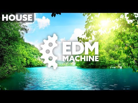 2elements - Let's Move On