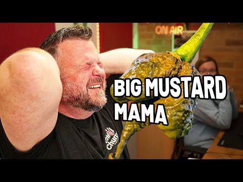 I ate a Big Mustard Mama Chilli 🔥Ridiculous Heat