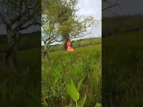 #RioSanJuan piloto perdio la vida al caer Helicóptero en el sector de las Pencas, Morrito #noticias