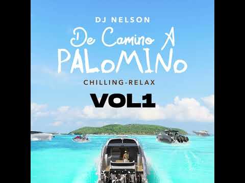 Que Te Brinquen - DJ Nelson Ft  Guaynaa Y Master Joe
