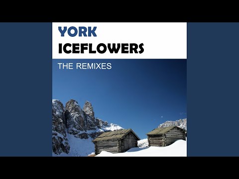 Iceflowers (Mac Lane Remix)
