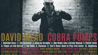 DAVID MEAD- THE BUSINESS (AUDIO from COBRA PUMPS)