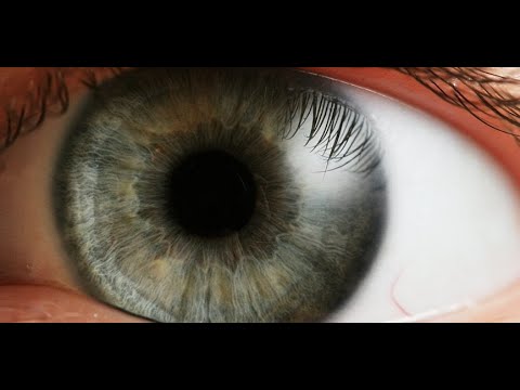 Si ta largojmë smirën dhe zilinë nga zemra? - Dr. Imam Ahmed Kalaja