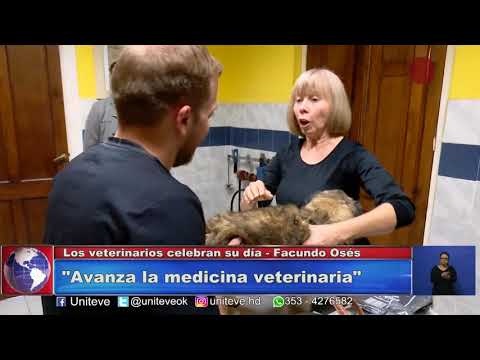 Los veterinarios celebran su día
