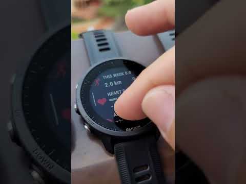 Garmin Forerunner 955 Standard vs 955 Solar touch screen