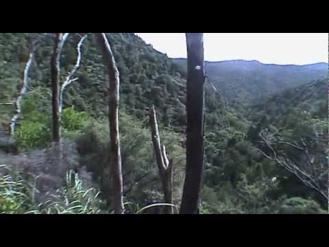 Chris Thompson & Mads Eriksen, New Zealand 2004