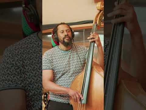 TajMo's new single "Better Than Ever" Out Friday! #wendymoten #kebmo #tajmahal