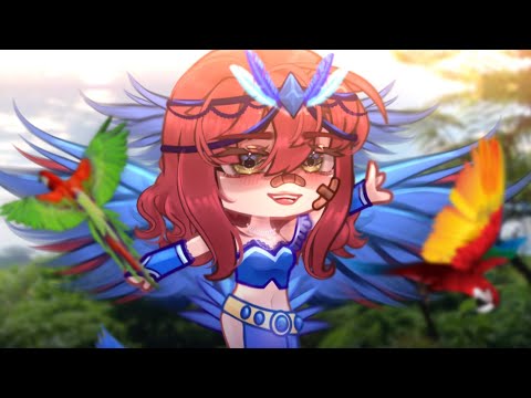 — 🦜 ,, All the birds of a feather..~ || Trend Rio || ,, [Gacha Life+ Club] ,, MEME/TREND —