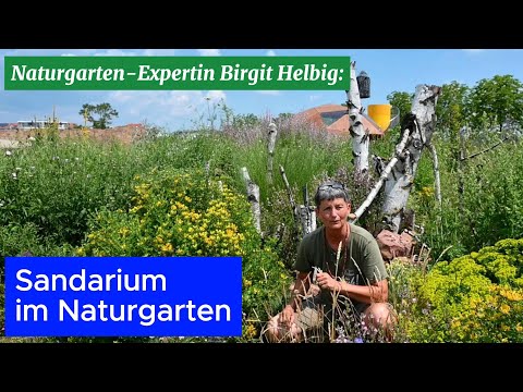 Mache mit! Naturgarten-Expertin Birgit Helbig: Die Drachenburg - Sandarium im Naturgarten
