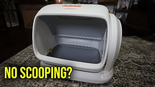 This Self-Cleaning Litter Box Solves Multi-Cat Messes | Meowant