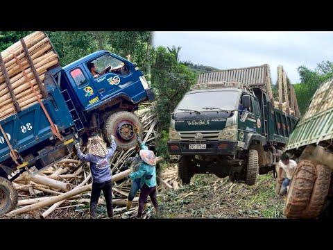 Full video: The driver and the wood truck climbed a dangerous slope.