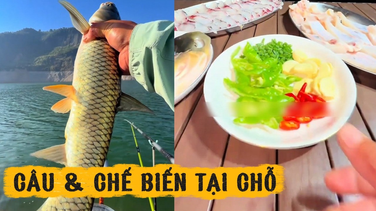 CÂU CÁ XUYÊN MÀN ĐÊM VÀ CHẾ BIẾN ĂN TẠI CHỖ