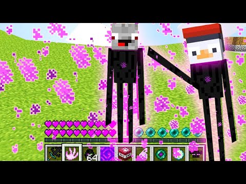 24 STUNDEN als ENDERMAN LEBEN in Minecraft